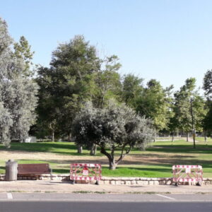 מזרח ומערב ירושלים – אקטואליה בעיר 2/6/2026
